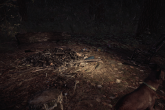 Blair Witch