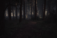 Blair Witch