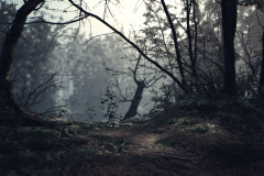 Blair Witch