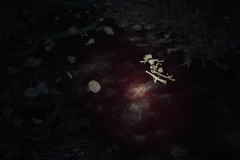 Blair Witch