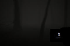 Blair Witch