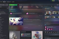 Steam Library Beta